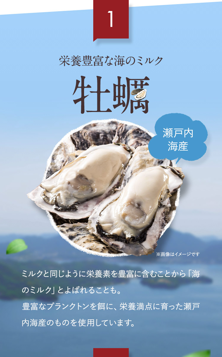 1 栄養豊富な海のミルク 瀬戸内海産 牡蠣