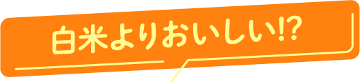 白米よりおいしい!?