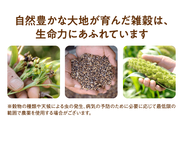 自然豊かな大地が育んだ雑穀は、生命力にあふれています