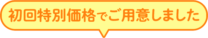 初回特別価格でご用意しました