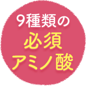 9種類の必須アミノ酸