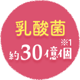 乳酸菌 約30億個