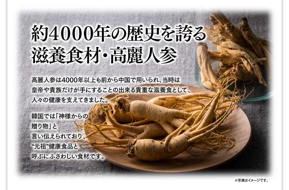 約4000年の歴史を誇る滋養食材・高麗人参 高麗人参は4000年以上も前から中国で用いられ、当時は皇帝や貴族だけが手にすることの出来る貴重な滋養食として、人々の健康を支えてきました。韓国では「神様からの贈り物」と言い伝えられており、“元祖”健康食品と呼ぶにふさわしい食材です。※写真はイメージです。