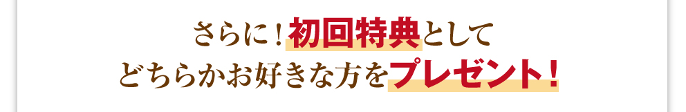 さらに！初回特典としてどちらかお好きな方をプレゼント！