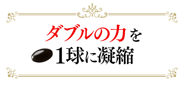 ダブルの力を1球にギュッと凝縮