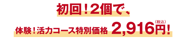 初回！2個で、体験！活力コース特別価格 2,916円!（税込）