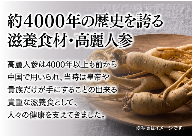 約4000年の歴史を誇る滋養食材・高麗人参 高麗人参は4000年以上も前から中国で用いられ、当時は皇帝や貴族だけが手にすることの出来る貴重な滋養食として、人々の健康を支えてきました。 ※写真はイメージです。