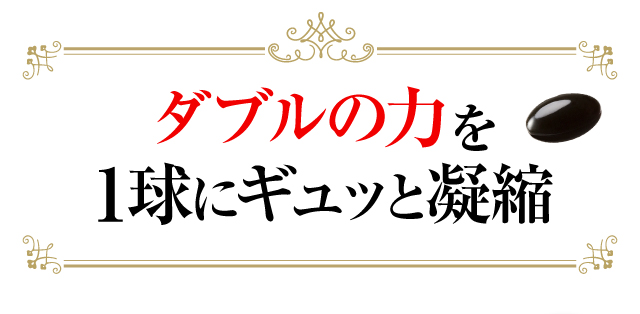 ダブルの力を1球にギュッと凝縮