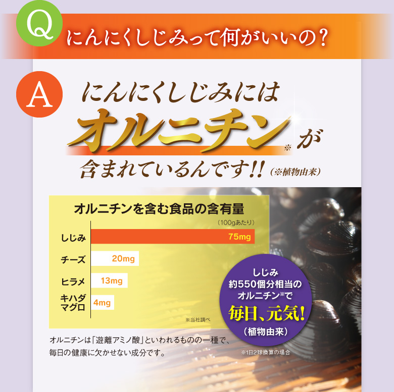 Qにんにくしじみって何がいいの？Aにんにくしじみにはオルニチンが含まれているんです！！※植物由来[オルニチンを含む食品の含有量：しじみ15.3mg マグロ7.2mg チーズ8.5mg ヒラメ4.2mg ※出典 オルニチン研究会]しじみ約500個分相当のオルニチン※で アミノ酸バランスUP！（植物由来）※1日量2球めやす　オルニチンは「遊離アミノ酸」の一種です。多くのアミノ酸は体内でたんぱく質になりますが、遊離アミノ酸はたんぱく質にならず、体内のアミノ酸バランスを調整し、巡っていきます。