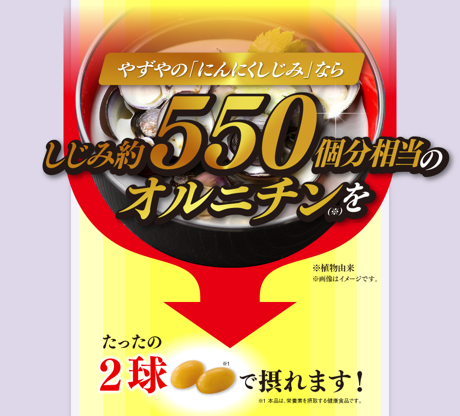 やずやの「にんにくしじみ」ならしじみ約500個分相当のオルニチン（※）をたったの２球（1日めやす量）で摂れます！　※植物由来※画像はイメージです。