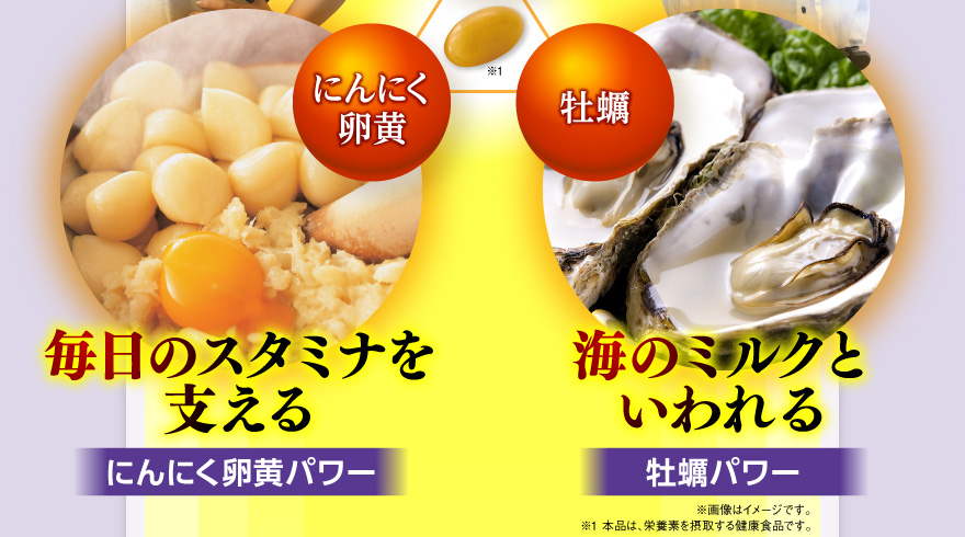 「にんにく卵黄：毎日のスタミナを支えるにんにく卵黄パワー」「牡蠣：海のミルクといわれる牡蠣パワー」※画像はイメージです。