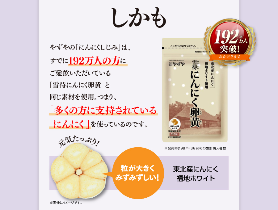 しかもやずやの「にんにくしじみ」は、すでに180万人以上の方にご愛飲いただいている「雪待にんにく卵黄」と同じ素材を使用。つまり、「多くの方に支持されているにんにく」を使っているのです。[おかげさまで180万人※突破!※発売時（1997年3月）からの累計購入数] 元気たっぷり！粒が大きくみずみずしい！青森県産福地ホワイト六片　※画像はイメージです。