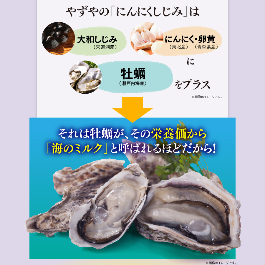 やずやの「にんにくしじみ」は大和しじみ（宍道湖産）にんにく・卵黄（青森県産）牡蠣エキス（瀬戸内海産）をプラス　それは牡蠣が、その栄養価から「海のミルク」と呼ばれるほどだから！[亜鉛などミネラル][ビタミンB1、B2などビタミン]※画像はイメージです。