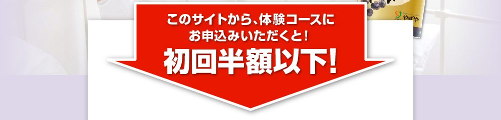 このサイトから、実感モニターコースにお申込みいただくと！初回半額以下！