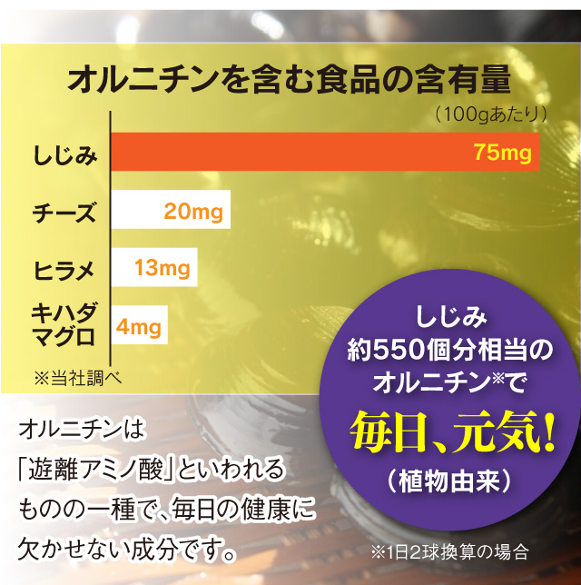 [オルニチンを含む食品の含有量：しじみ15.3mg マグロ7.2mg チーズ8.5mg ヒラメ4.2mg ※出典 オルニチン研究会]しじみ約500個分相当のオルニチン※で アミノ酸バランスUP！（植物由来）※1日量2球めやす　オルニチンは「遊離アミノ酸」の一種です。多くのアミノ酸は体内でたんぱく質になりますが、遊離アミノ酸はたんぱく質にならず、体内のアミノ酸バランスを調整し、巡っていきます。