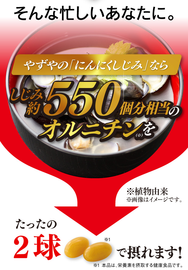 そんな忙しいあなたに。やずやの「にんにくしじみ」ならしじみ約500個分相当のオルニチン（※）をたったの２球（1日めやす量）で摂れます！　※植物由来※画像はイメージです。