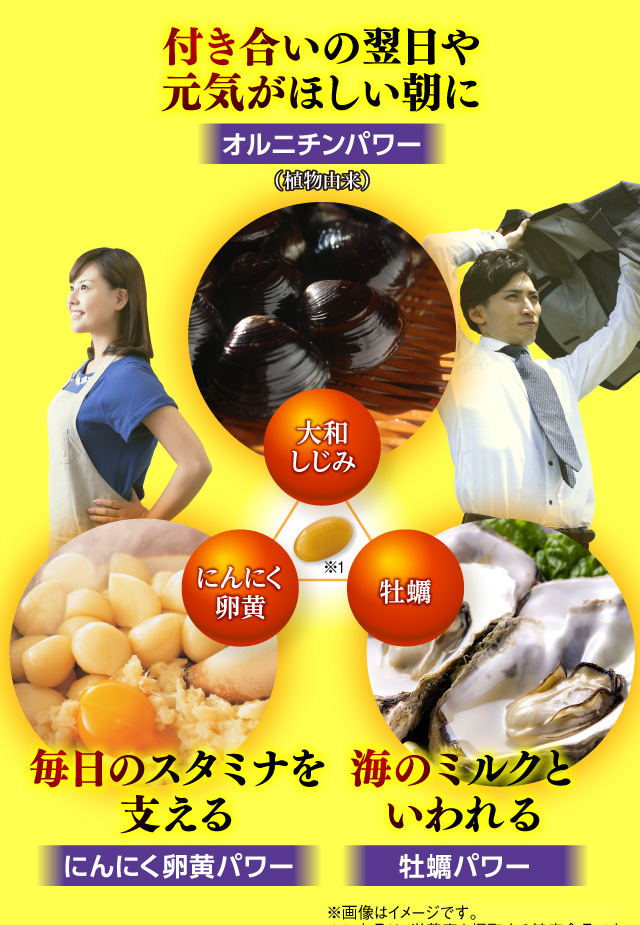 「大和しじみ：付き合いの翌日や元気がほしい朝にオルニチンパワー（植物由来）」「にんにく卵黄：毎日のスタミナを支えるにんにく卵黄パワー」「牡蠣：海のミルクといわれる牡蠣パワー」※画像はイメージです。