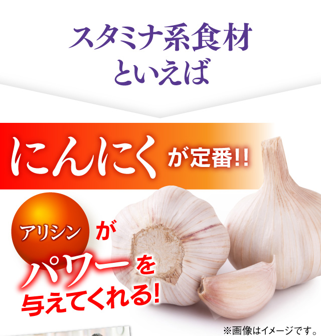 スタミナ系食材といえばにんにくもおなじみ定番！！アリシンがパワーを与えてくれる！※画像はイメージです。