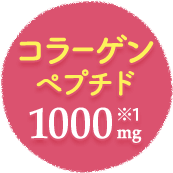 コラーゲンペプチド 1000mg