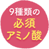 9種類の必須アミノ酸