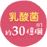 乳酸菌 約30億個