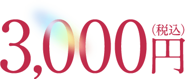 3,000円(税込)