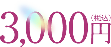 3,000円(税込)