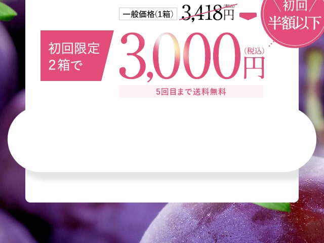 [初回限定2箱で]3,000円(税込)