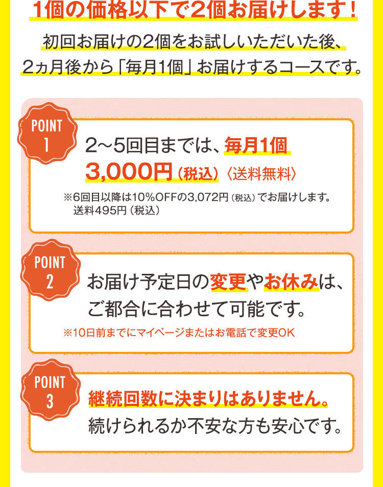 １個の価格以下で２個お届けします！