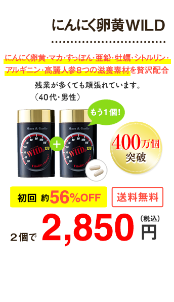 にんにく卵黄WILD