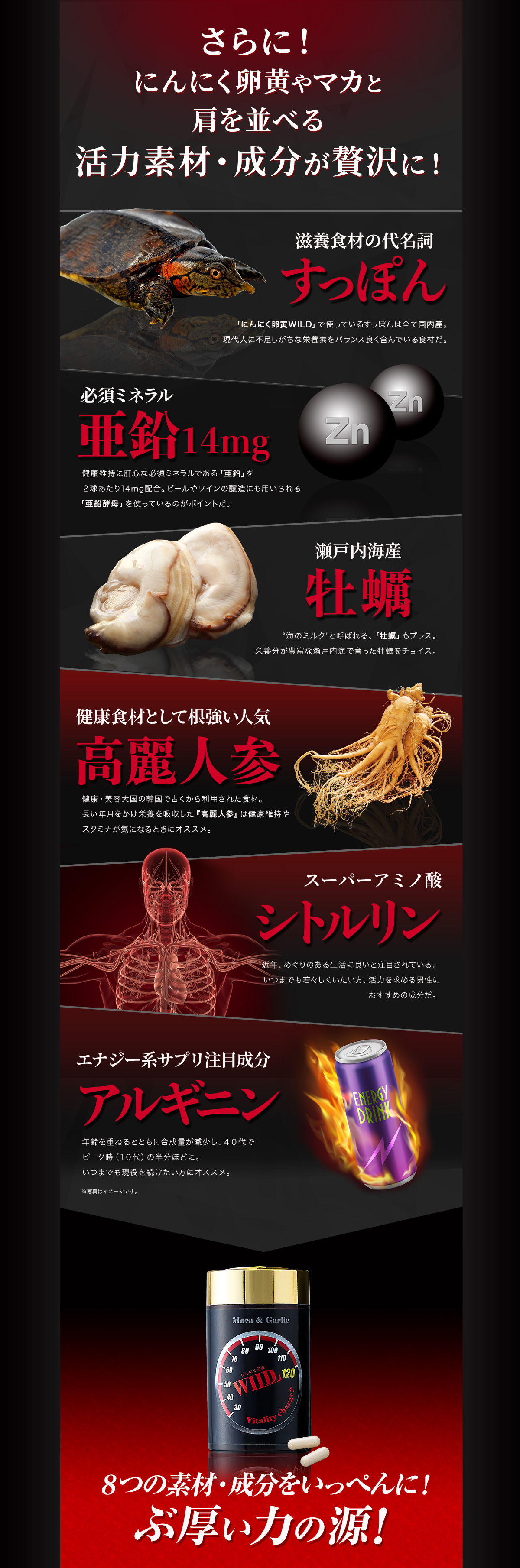 さらに!にんにく卵黄やマカと肩を並べる活力素材・成分が贅沢に!滋養食材の代名詞 すっぽん 「にんにく卵黄WILD」で使っているすっぽんは全て国内産。現代人に不足しがちな栄養素をバランス良く含んでいる食材だ。 必須ミネラル 亜鉛14mg 健康維持に肝心な必須ミネラルである「亜鉛」を2球めやすで14mg配合。ビールやワインの醸造にも用いられる「亜鉛酵母」を使っているのがポイントだ。瀬戸内海産牡蠣 “海のミルク”と呼ばれる、「牡蠣エキス」もプラス。栄養分豊富な瀬戸内海で育った牡蠣をチョイス。5つの成分・素材をいっぺんに!分厚い力の源! 健康食材として根強い人気 高麗人参 健康・美容大国の韓国で古くから利用された食材。長い年月をかけ栄養を吸収した『高麗人参』は健康維持やスタミナが気になるときにオススメ。 スーパーアミノ酸 シトルリン 近年、めぐりのある生活に良いと注目されている。いつまでも若々しくいたい方、活力を求める男性におすすめの成分だ。 エナジー系サプリ注目成分 アルギニン 年齢を重ねるとともに合成量が減少し、40代でピーク時(10代)の半分ほどに。いつまでも現役を続けたい方にオススメ。※写真はイメージです。8つの素材・成分をいっぺんに!ぶ厚い力の源!