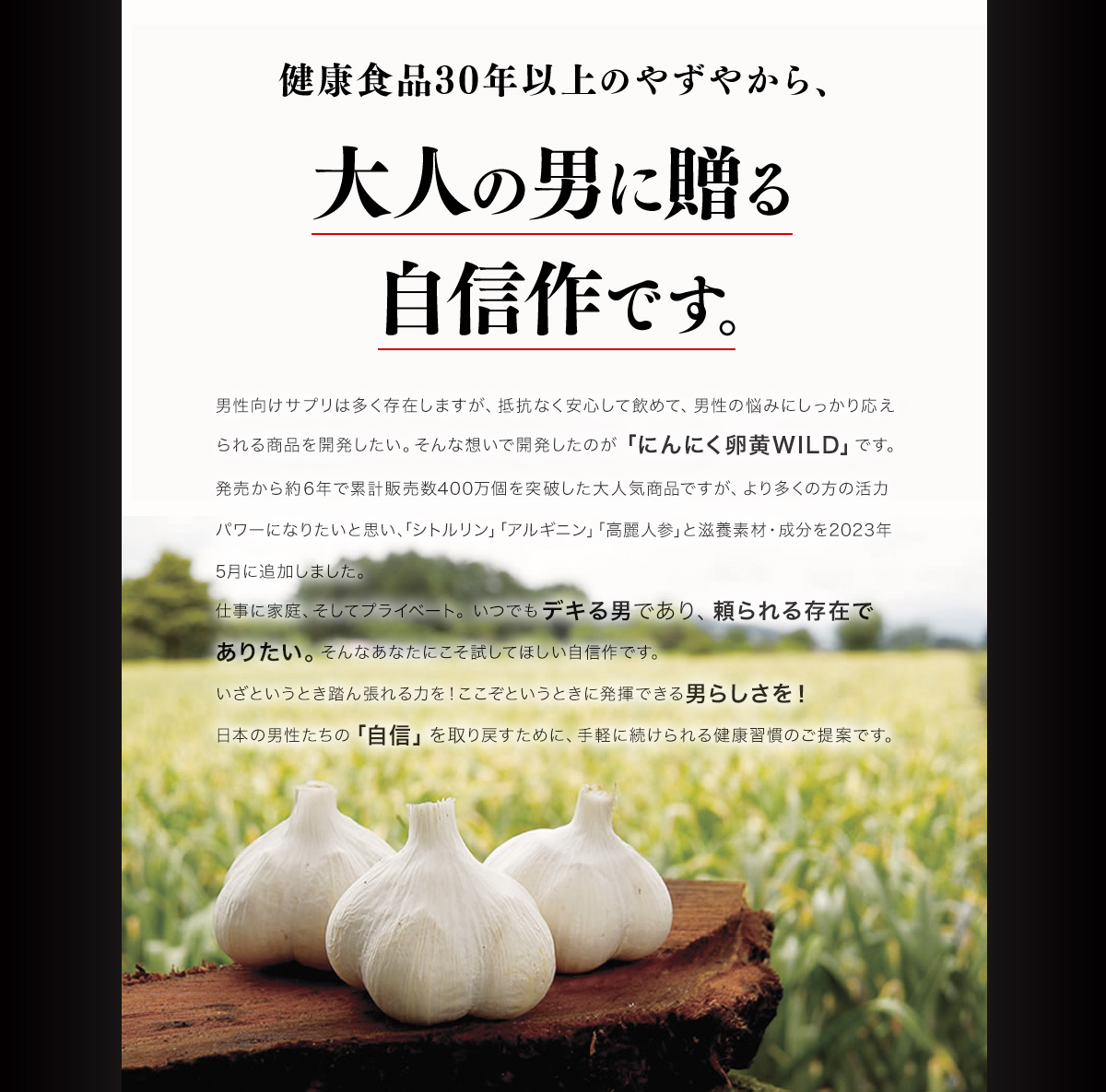健康食品30年以上のやずやから、大人の男に贈る自信作です。男性向けサプリは多く存在しますが、抵抗なく安心して飲めて、男性の悩みにしっかり応えられる商品を開発したい。そんな想いで開発したのが「にんにく卵黄WILD」です。発売から約6年で累計販売数400万個を突破した大人気商品ですが、より多くの方の活力パワーになりたいと思い、「シトルリン」「アルギニン」「高麗人参」と滋養素材・成分を2023年5月に追加しました。仕事に家庭、そしてプライベート。いつでもデキる男であり、頼られる存在でありたい。そんなあなたにこそ試してほしい自信作です。いざというとき踏ん張れる力を！ここぞというときに発揮できる男らしさを！日本の男性たちの「自信」を取り戻すために、手軽に続けられる健康習慣のご提案です。