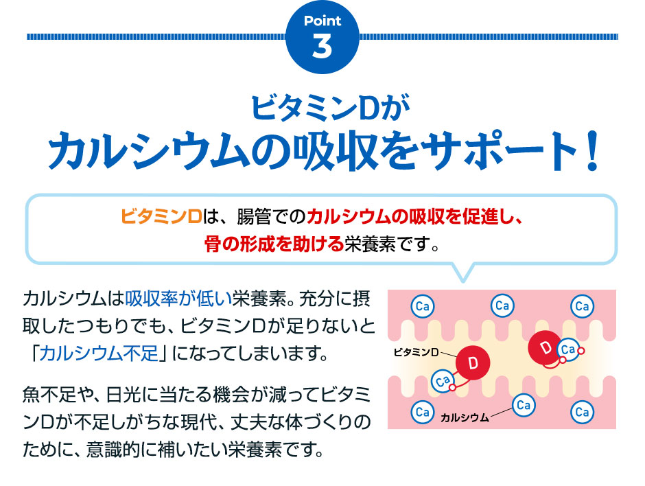 Point3 ビタミンDがカルシウムの吸収をサポート！ ビタミンDは、腸管のカルシウムの吸収を促進し、骨の形成を助ける栄養素です。カルシウムは吸収率が低い栄養素。充分に摂取したつもりでも、ビタミンDが足りないと「カルシウム不足」になってしまいます。魚不足や、日光に当たる機会が減ってビタミンDが不足しがちな現代、丈夫な体づくりのために、意識的に補いたい栄養素です。