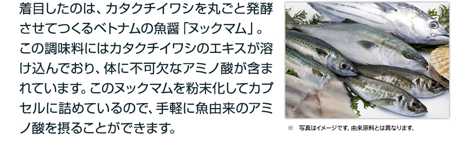 着目したのは、カタクチイワシを丸ごと発酵させてつくるベトナムの魚醤「ヌックマム」。この調味料にはカタクチイワシのエキスが溶け込んでおり、体に不可欠なアミノ酸が含まれています。このヌックマムを粉末化してカプセルに詰めているので、手軽に魚由来のアミノ酸を摂ることができます。 ※ 写真はイメージです。由来原料とは異なります。