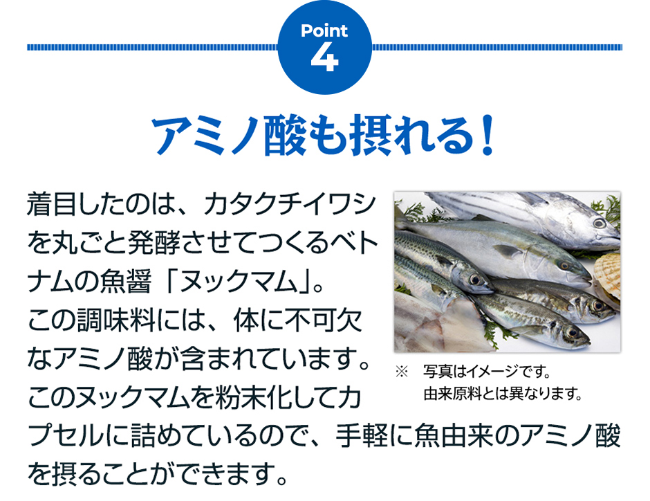 Point4 アミノ酸も摂れる！着目したのは、カタクチイワシを丸ごと発酵させてつくるベトナムの魚醤「ヌックマム」。この調味料には体に不可欠なアミノ酸が含まれています。このヌックマムを粉末化してカプセル状にしているので、手軽に魚由来のアミノ酸を摂ることができます。
