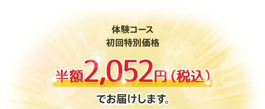 体験コース初回特別価格半額2,052円（税込）！でお届けします。