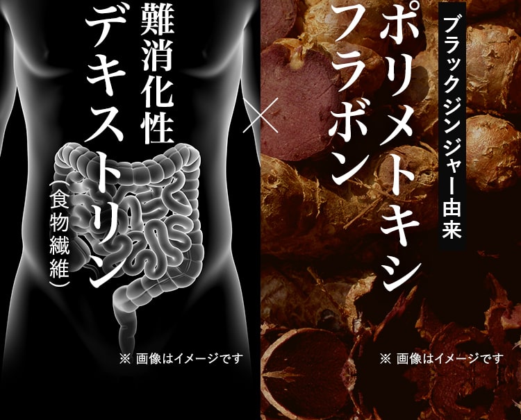 ポリメトキシフラボン・難消化性 デキストリン 