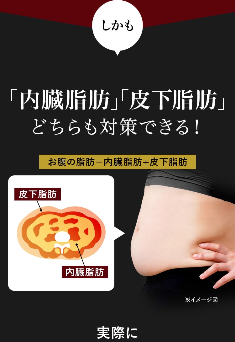 しかも「内臓脂肪」「皮下脂肪」どちらも対策できる！お腹の脂肪＝内臓脂肪+皮下脂肪