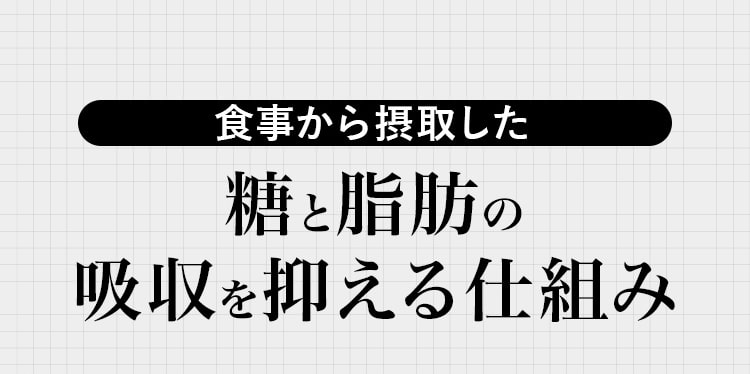 食事から摂取した糖と脂肪の吸収を抑える仕組み