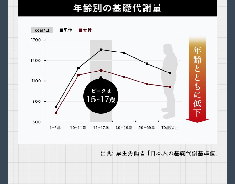 年齢別の基礎代謝量ピークは15~17歳