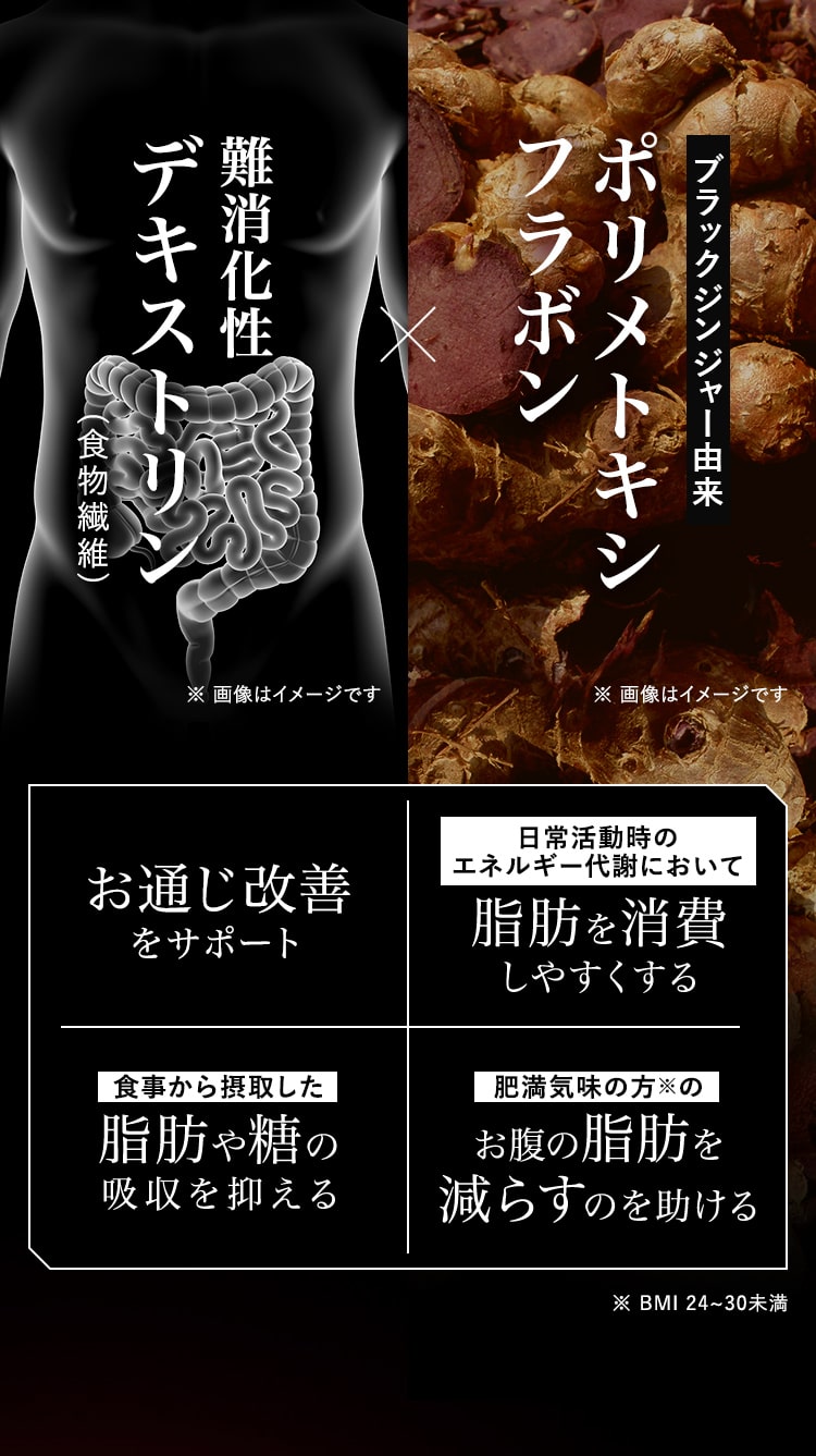 ブラックジンジャー由来ポリメトキシフラボン×難消化性デキストリン