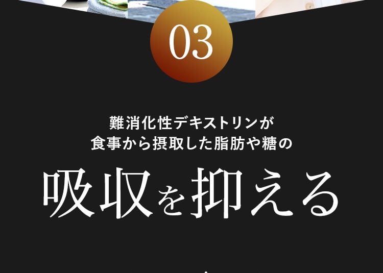 03 難消化性デキストリンが食事から摂取した脂肪や糖の吸収を抑える