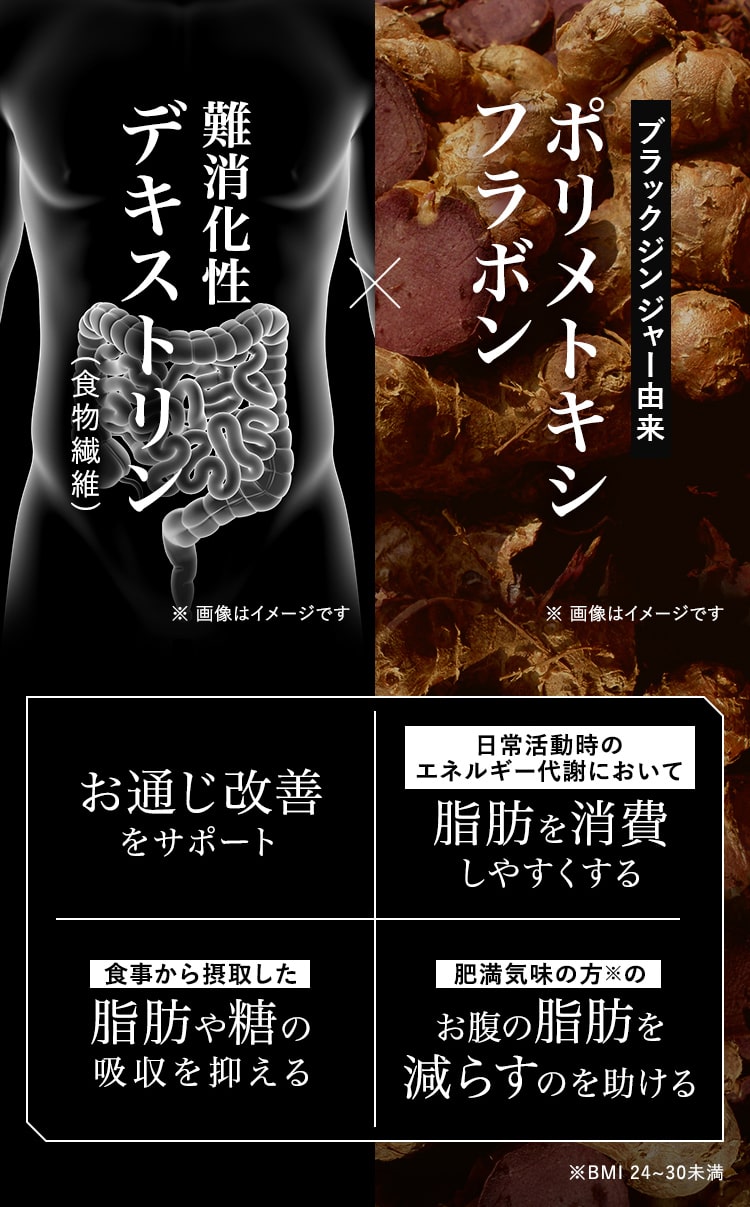 ブラックジンジャー由来ポリメトキシフラボン×難消化性デキストリン お通じ改善をサポート,脂肪を消費しやすくする,脂肪や糖の吸収を抑える,お腹の脂肪を減らすのを助ける