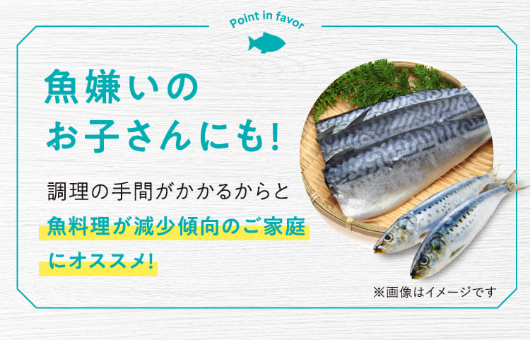 魚嫌いのお子さんにも!