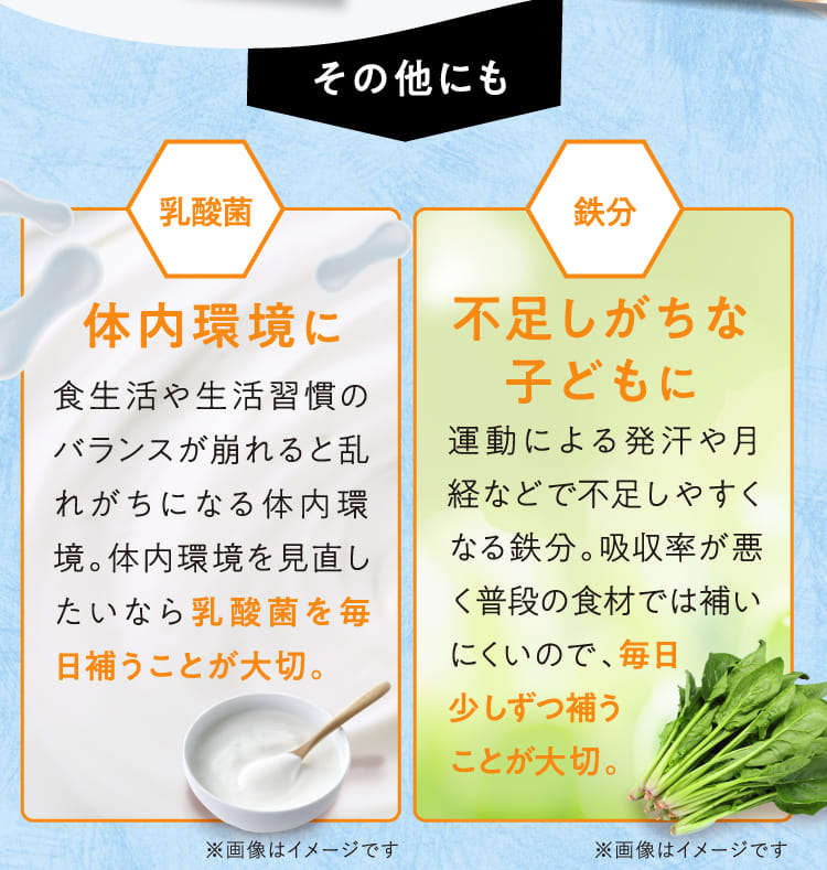 その他にも 乳酸菌 体内環境に 鉄分 不足しがちな子どもに
