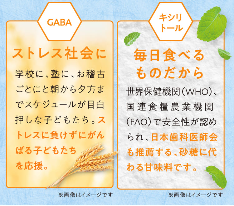 GABA ストレス社会に キシリトール 毎日食べるものだから