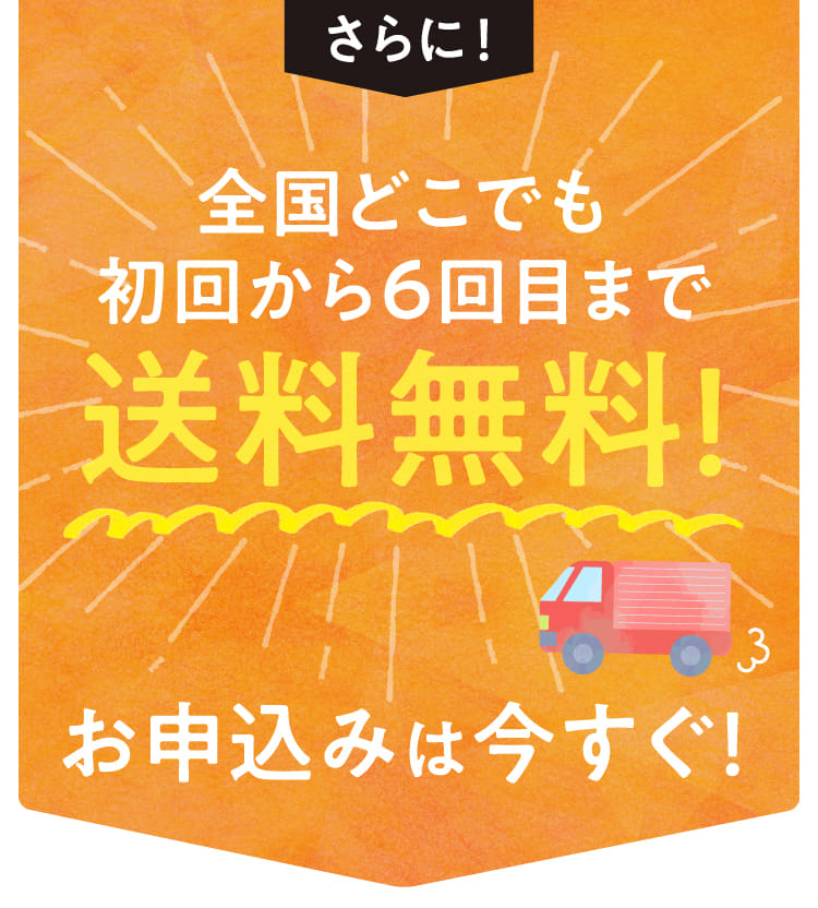 全国どこでも送料無料!