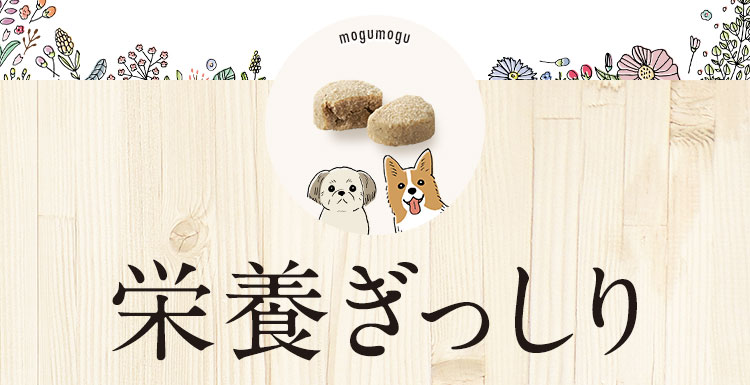 栄養ぎっしり