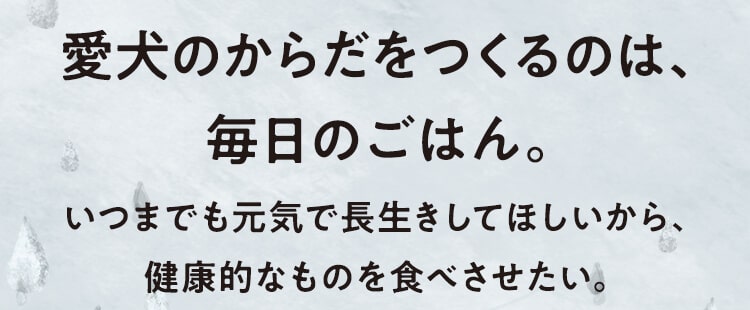 愛犬のからだをつくるのは、毎日のごはん。いつまでも元気で長生きしてほしいから、健康的なものを食べさせたい。