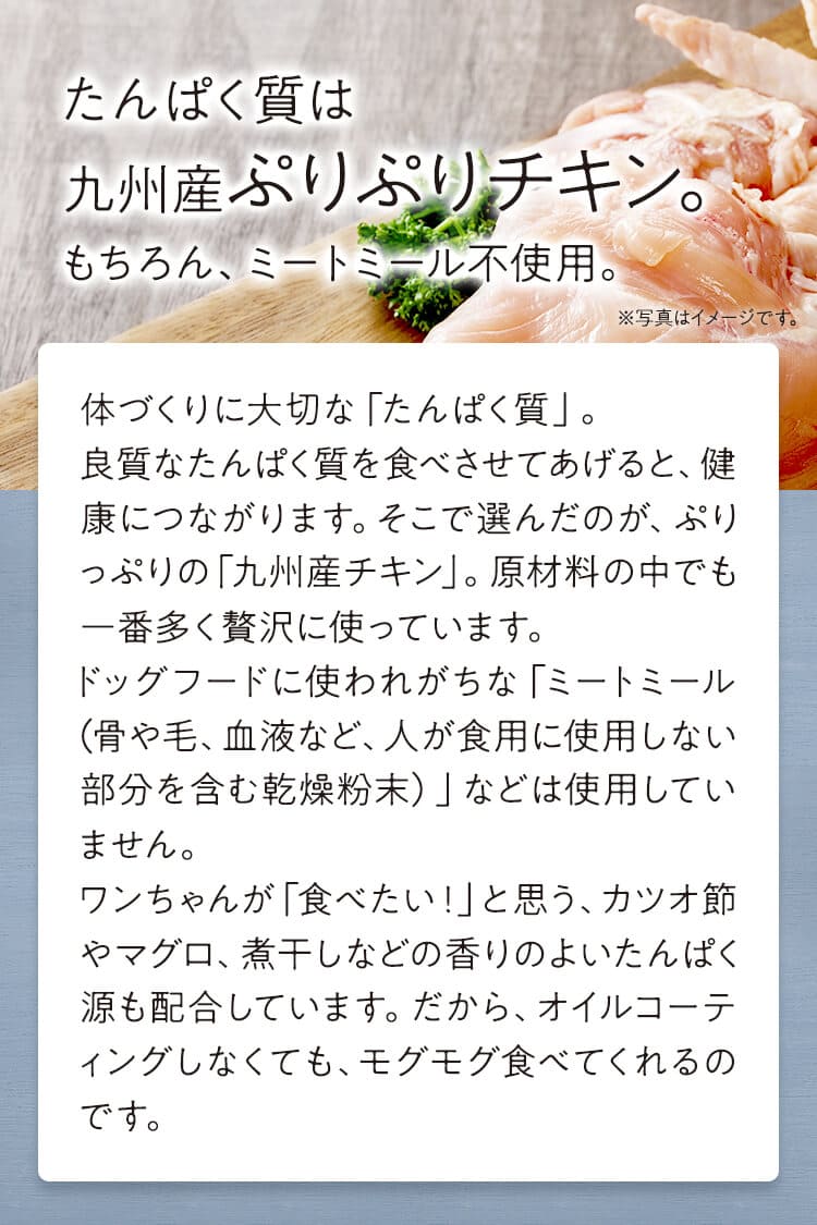 たんぱく質は九州産ぷりぷりチキン。もちろん、ミートミール不使用。